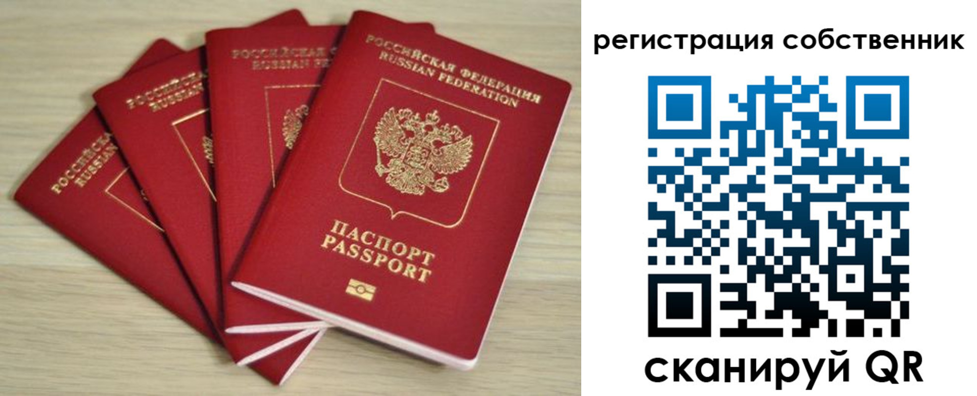 прописка регистрация в Смоленской области